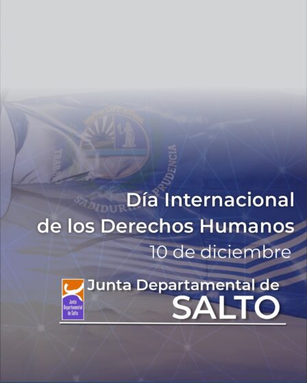 Cada 10 de diciembre se celebra el Dia Internacional de los Derechos Humanos.